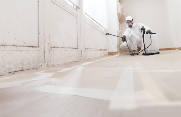 24/7 Emergency Bathroom Mold Removal experts in Dornsife, PA